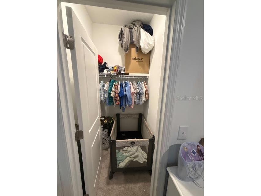 10607 Ladybug Cove Parrish FL 34219 TB8386992 image19