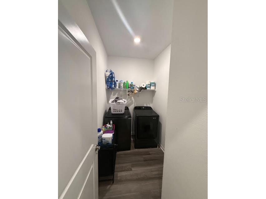 10607 Ladybug Cove Parrish FL 34219 TB8386992 image21