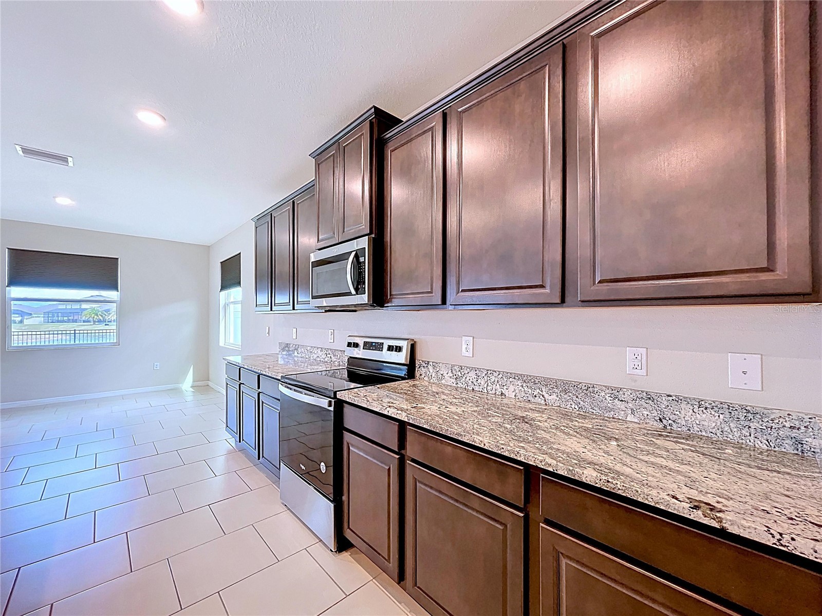 10609 Laxer Cay Loop San Antonio FL 33576 - RENTENTION POND WITH FOUNTAIN TB8463848 image30