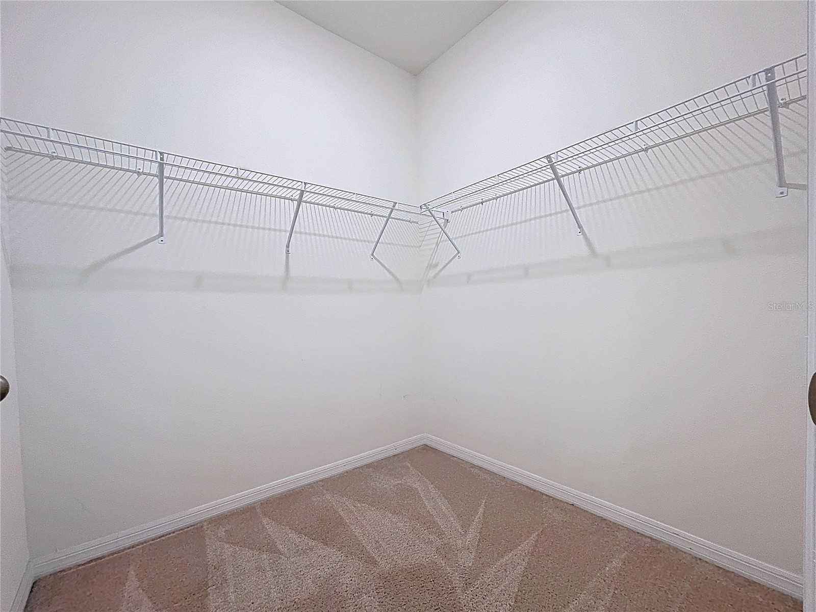 10609 Laxer Cay Loop San Antonio FL 33576 - RENTENTION POND WITH FOUNTAIN TB8463848 image46