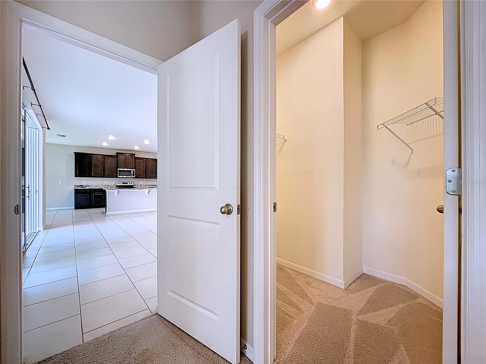 10609 Laxer Cay Loop San Antonio FL 33576 - RENTENTION POND WITH FOUNTAIN TB8463848 image47