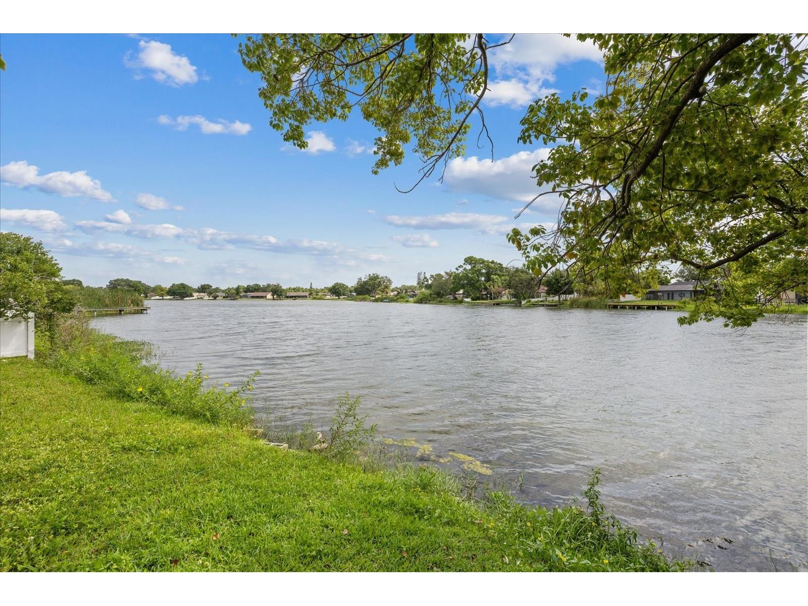10609 Out Island Drive Tampa FL 33615 TB8515198 image41