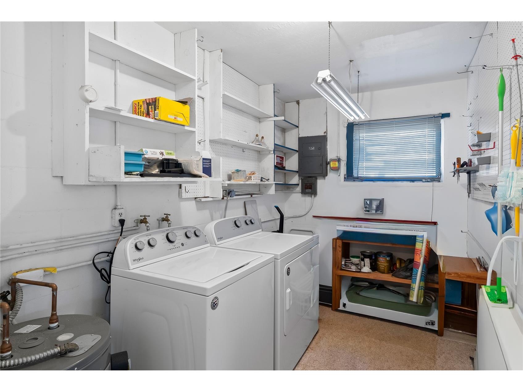 10609 Raffia Drive Port Richey FL 34668 TB8463361 image18