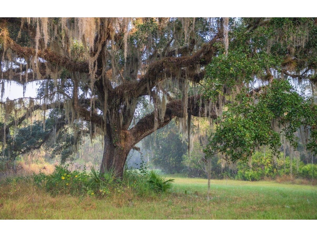 1061 Harris Road Arcadia FL 34266 - PEACE RIVER A4678146 image14
