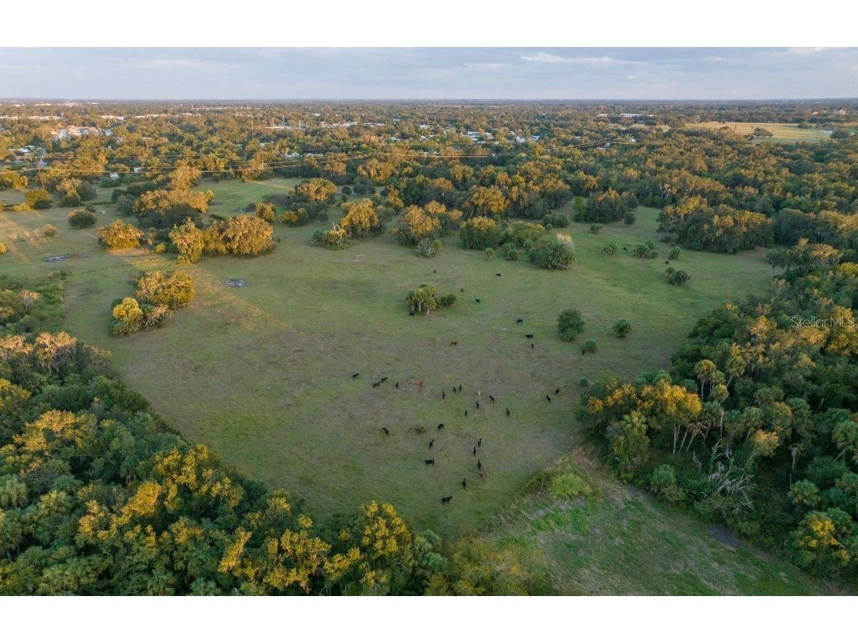1061 Harris Road Arcadia FL 34266 - PEACE RIVER A4678146 image2