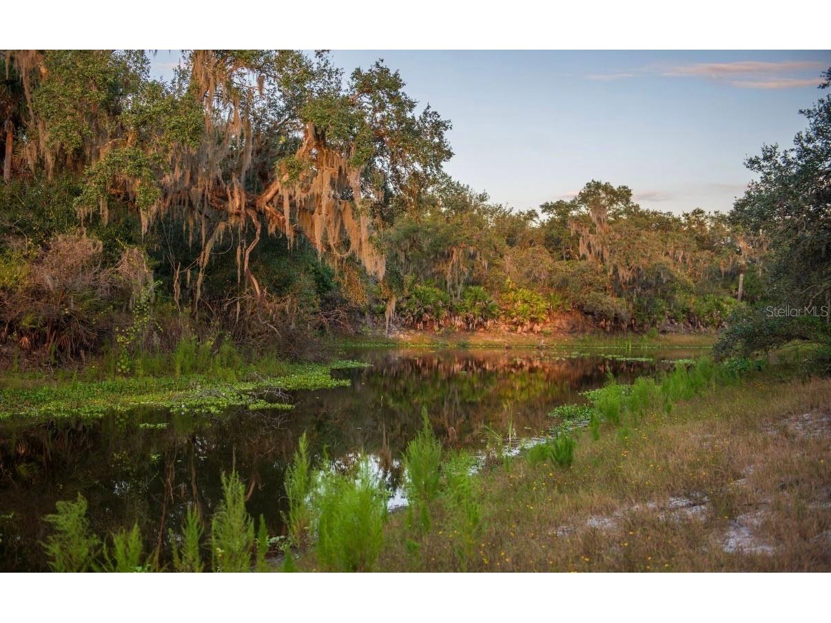 1061 Harris Road Arcadia FL 34266 - PEACE RIVER A4678146 image25