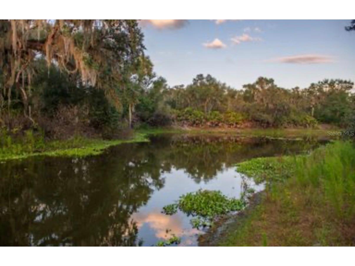 1061 Harris Road Arcadia FL 34266 - PEACE RIVER A4678146 image26