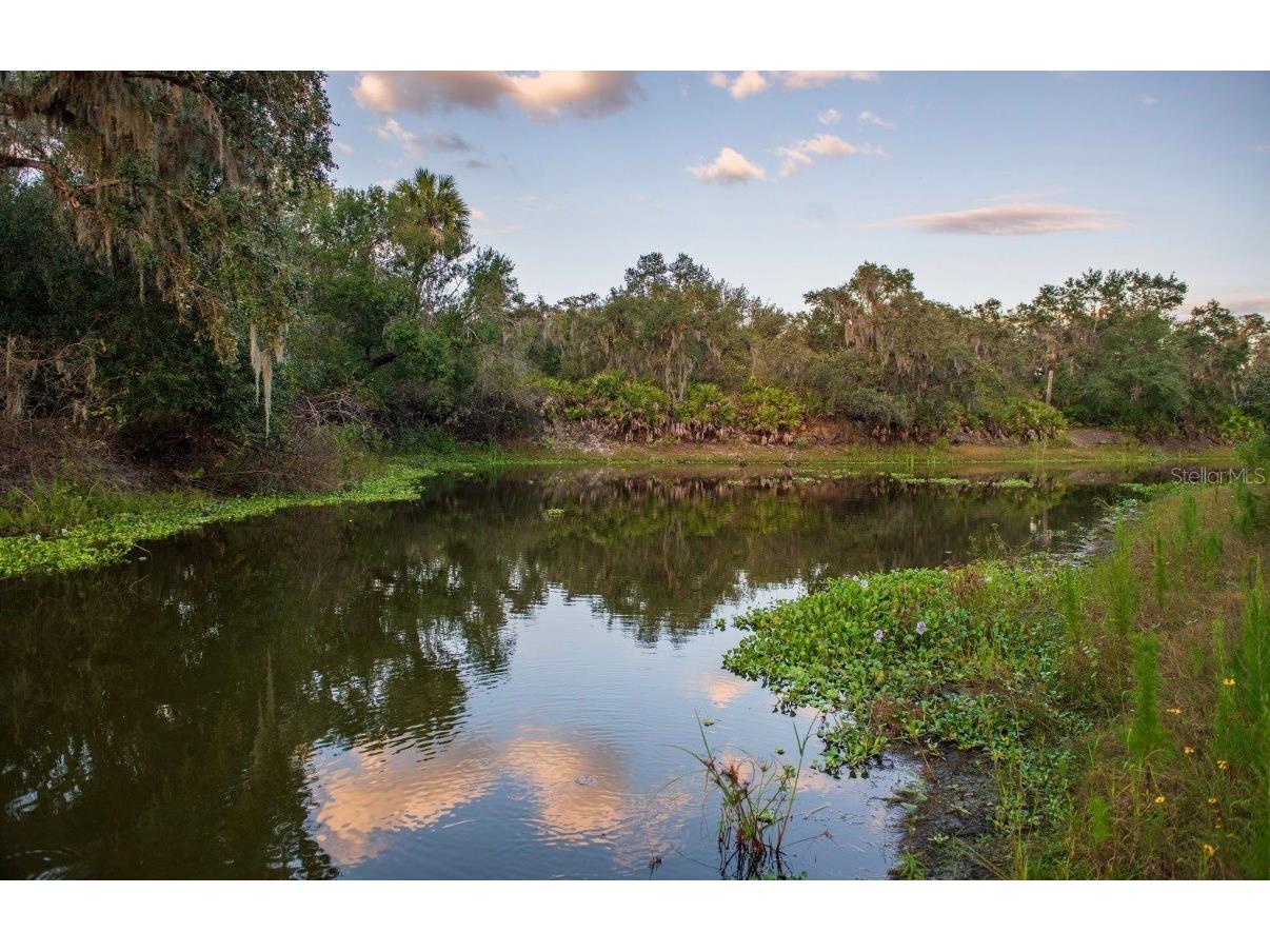 1061 Harris Road Arcadia FL 34266 - PEACE RIVER A4678146 image27