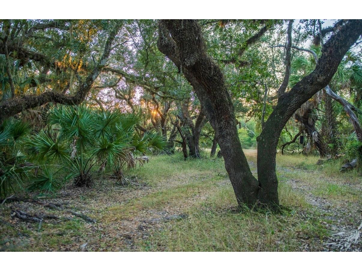 1061 Harris Road Arcadia FL 34266 - PEACE RIVER A4678146 image28