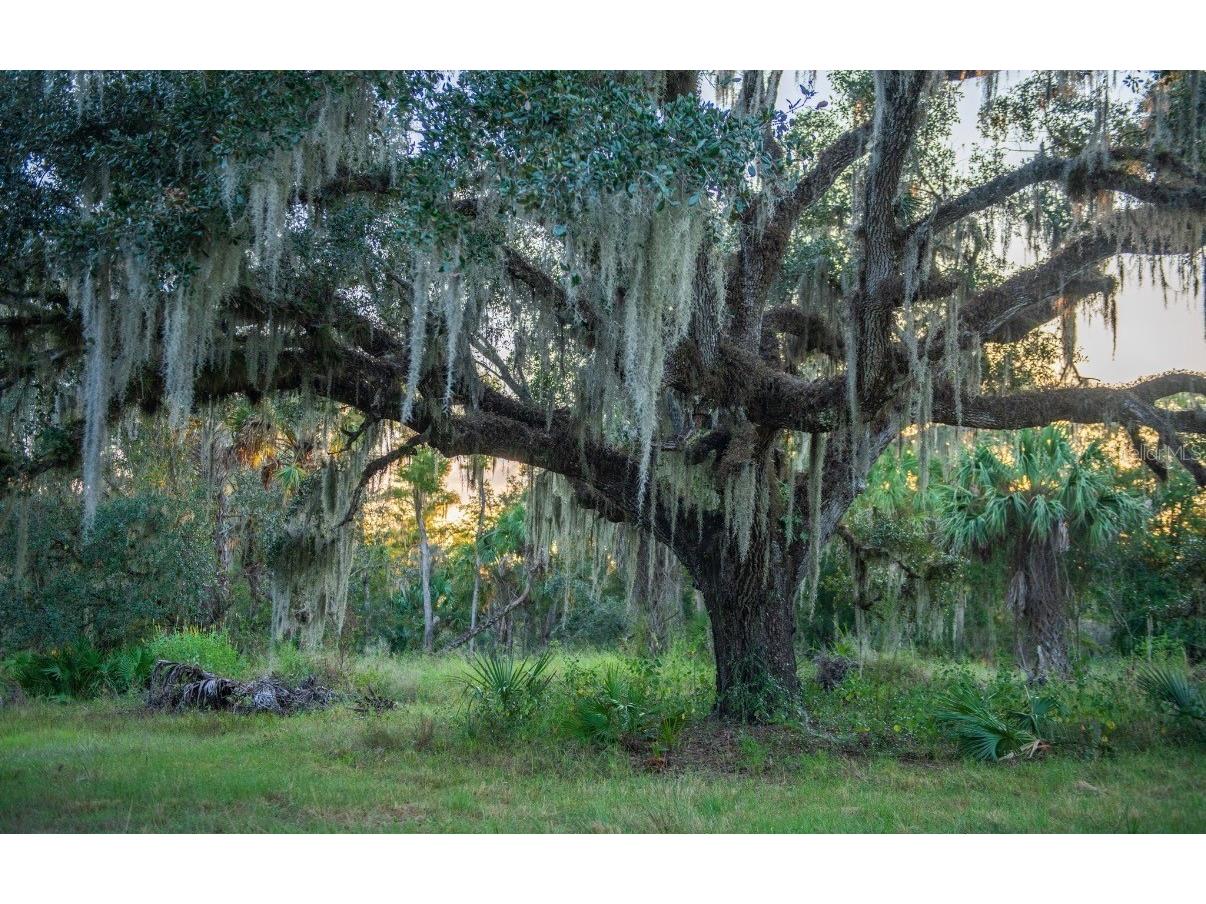 1061 Harris Road Arcadia FL 34266 - PEACE RIVER A4678146 image29
