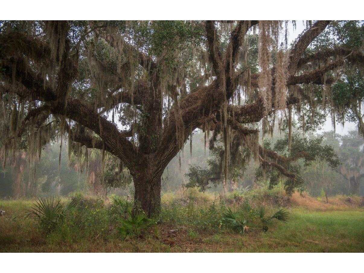 1061 Harris Road Arcadia FL 34266 - PEACE RIVER A4678146 image33