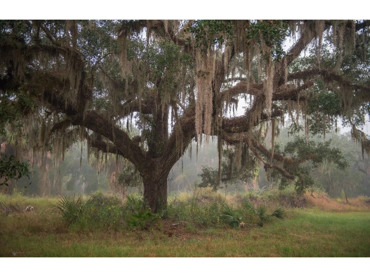 1061 Harris Road Arcadia FL 34266 - PEACE RIVER A4678146 image34