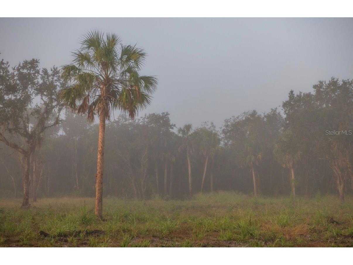 1061 Harris Road Arcadia FL 34266 - PEACE RIVER A4678146 image35