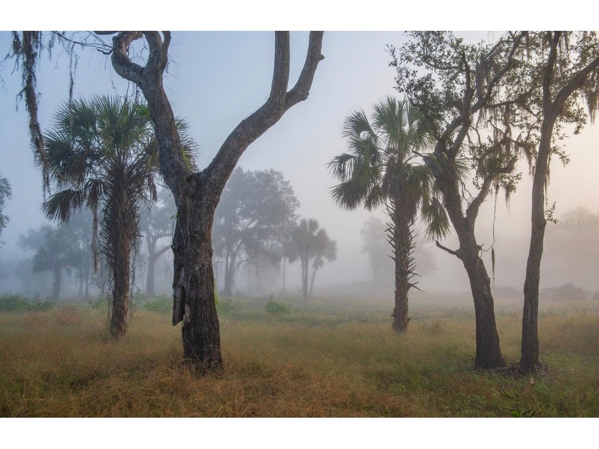 1061 Harris Road Arcadia FL 34266 - PEACE RIVER A4678146 image36