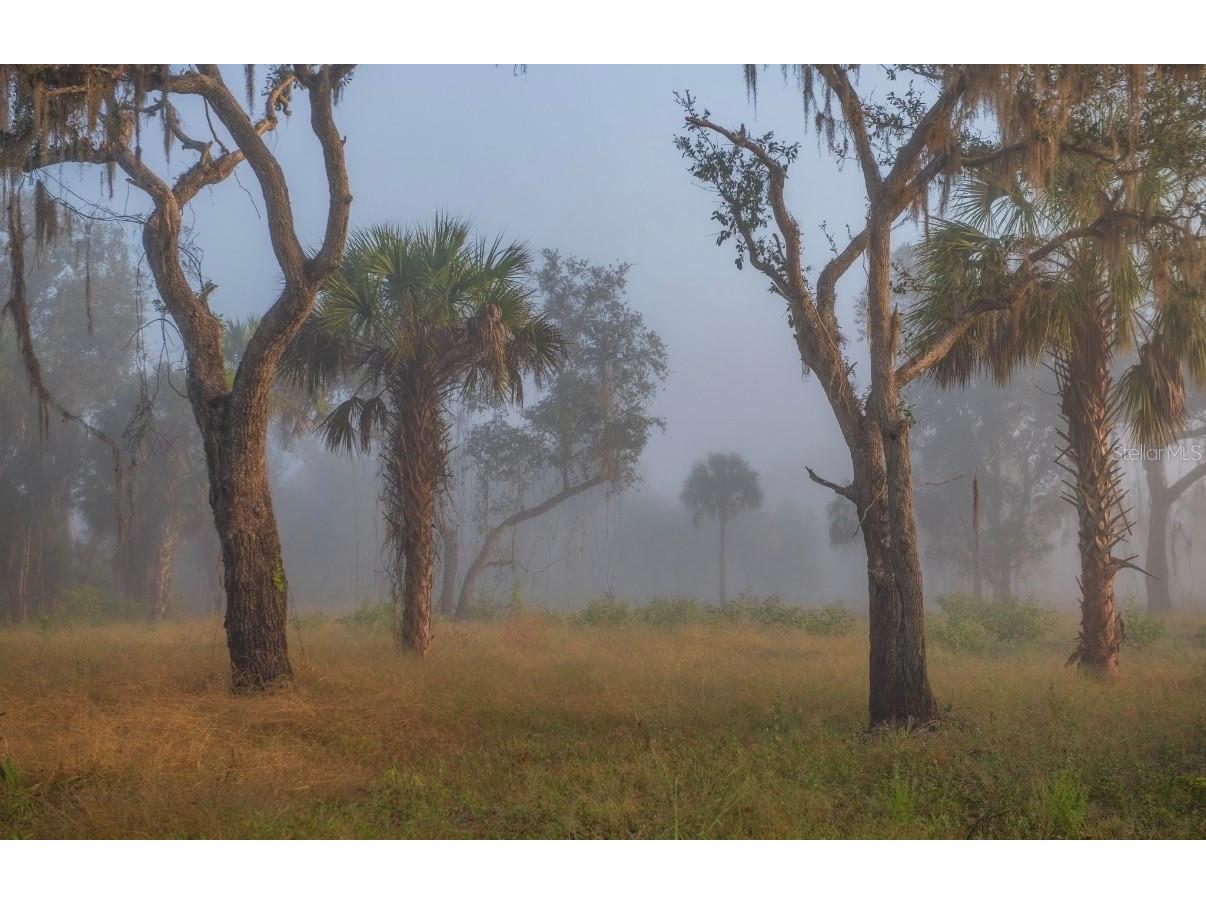 1061 Harris Road Arcadia FL 34266 - PEACE RIVER A4678146 image9
