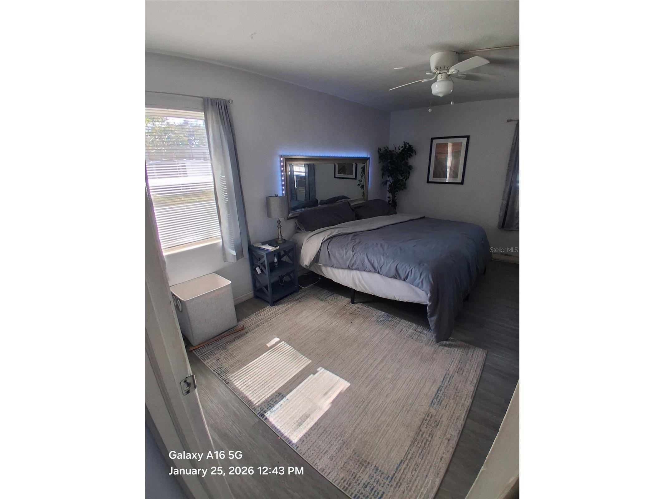 1061 Nokomis Street Clearwater FL 33755 TB8483549 image9