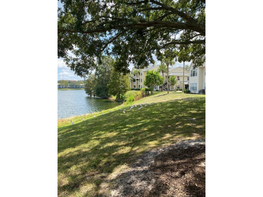 1061 S Hiawassee Road #1712 Orlando FL 32835 S5119456 image10