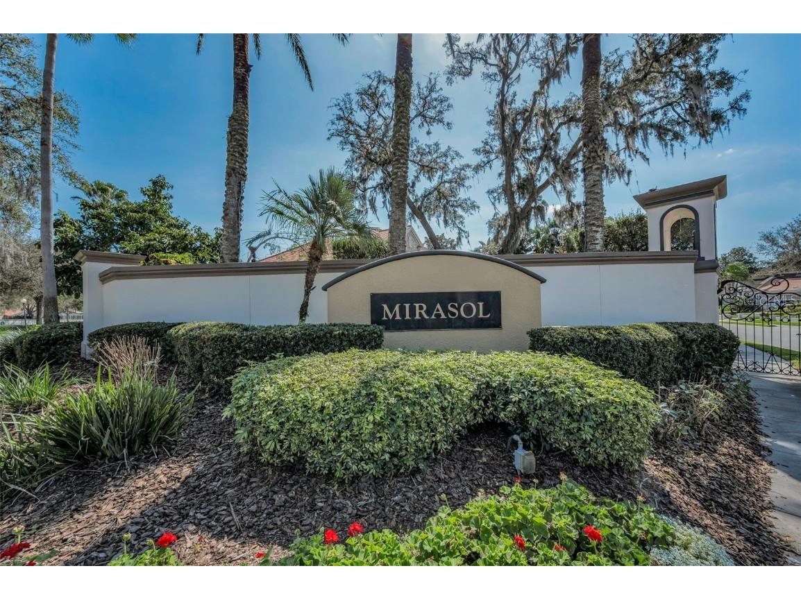 10610 Sabella Drive Trinity FL 34655 W7881294 image23