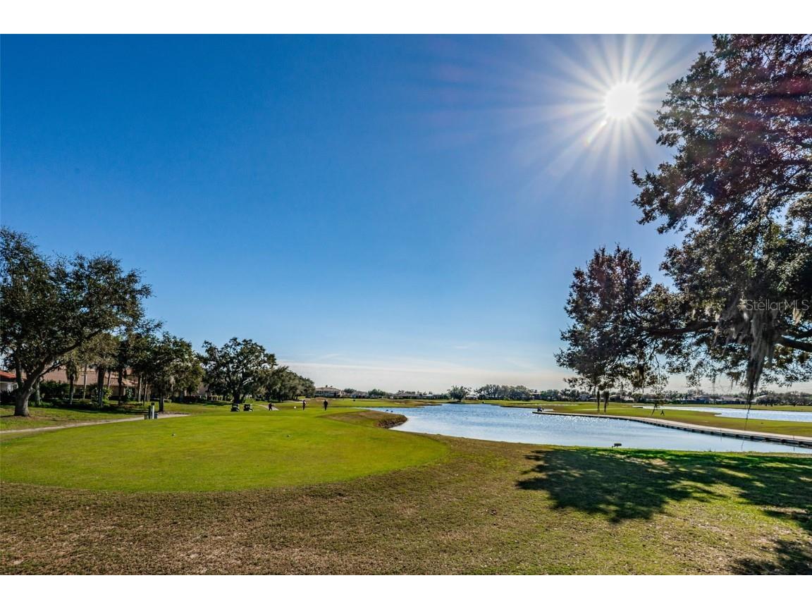 10610 Sabella Drive Trinity FL 34655 W7881294 image35