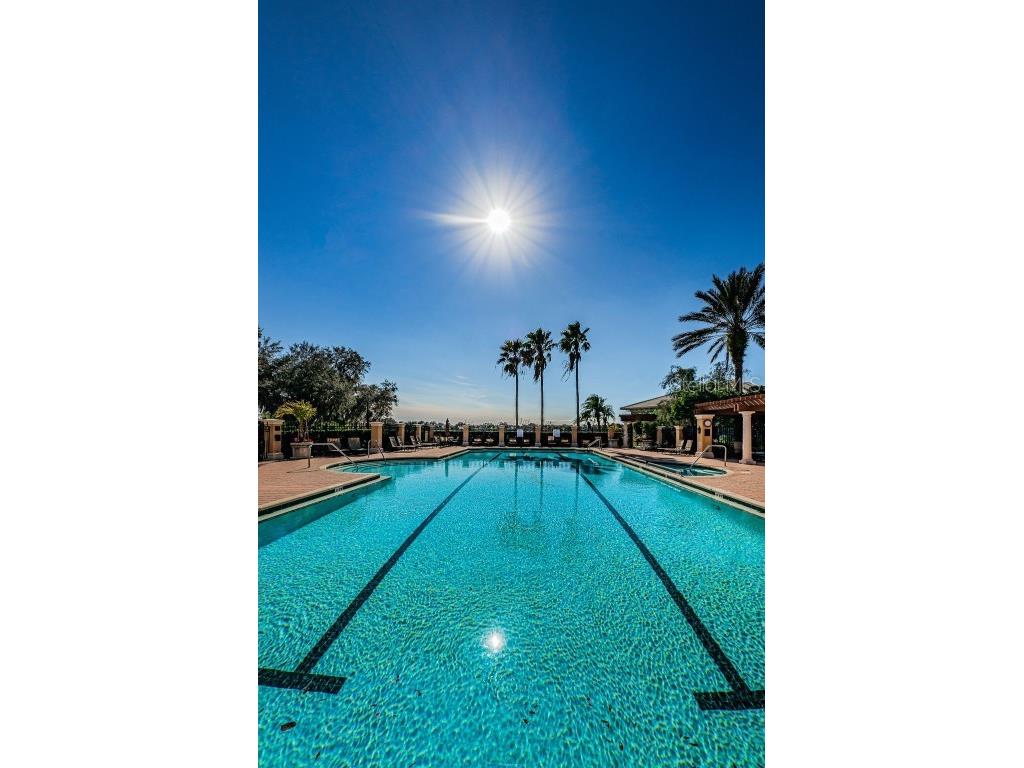 10610 Sabella Drive Trinity FL 34655 W7881294 image39