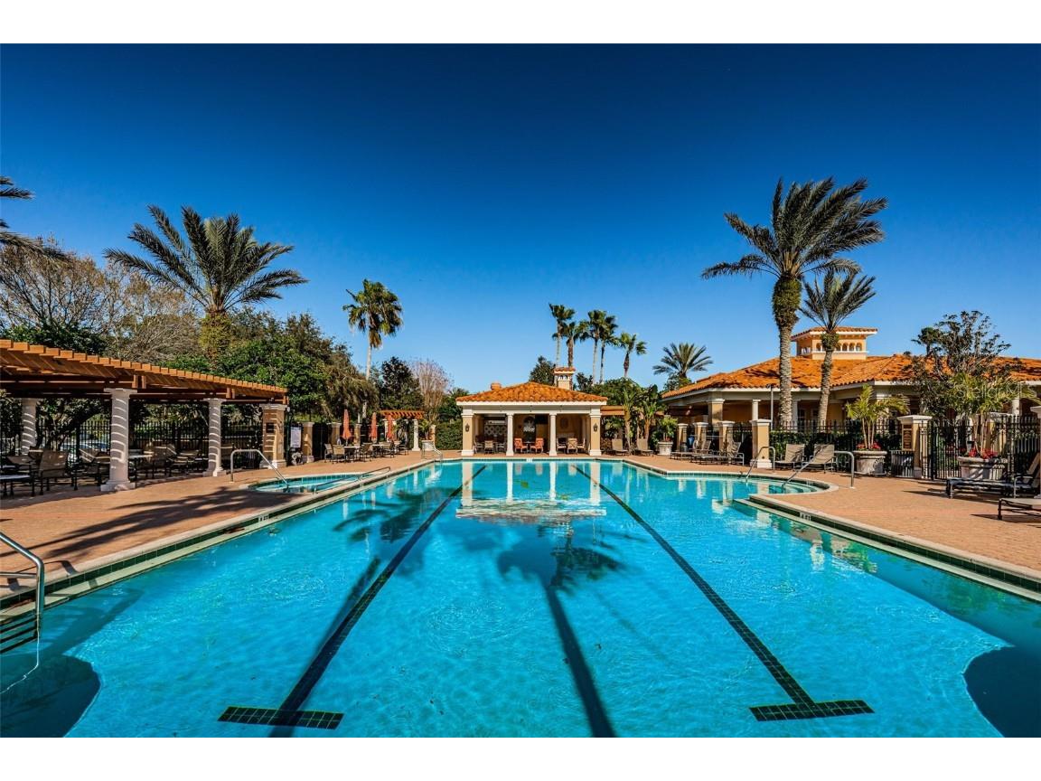 10610 Sabella Drive Trinity FL 34655 W7881294 image42