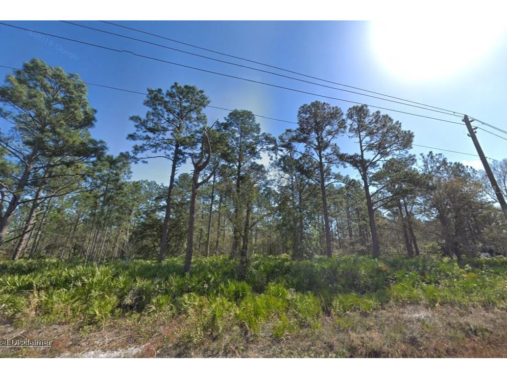 10610 Yeager Avenue Hastings FL 32145 A4690545 image1