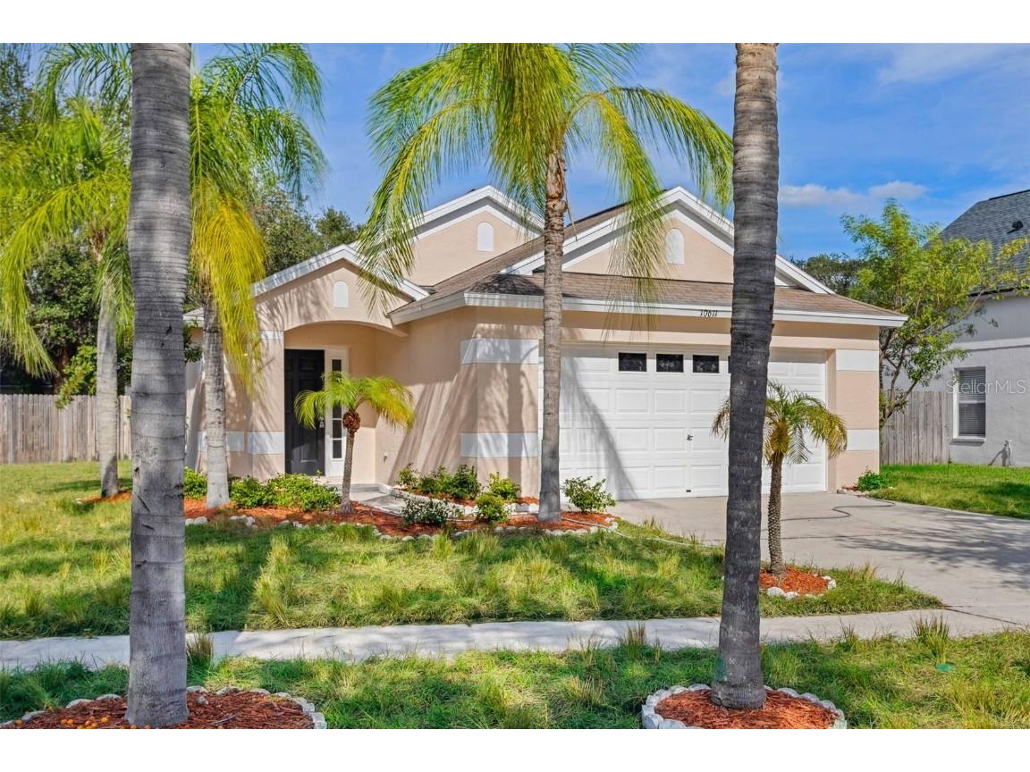 10611 Lakeside Vista Drive Riverview FL 33569 T3489144 image1