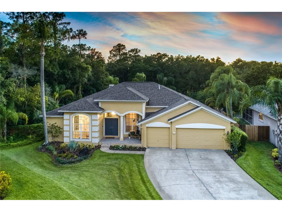 10612 Chambers Drive Tampa FL 33626 T3526744 image1