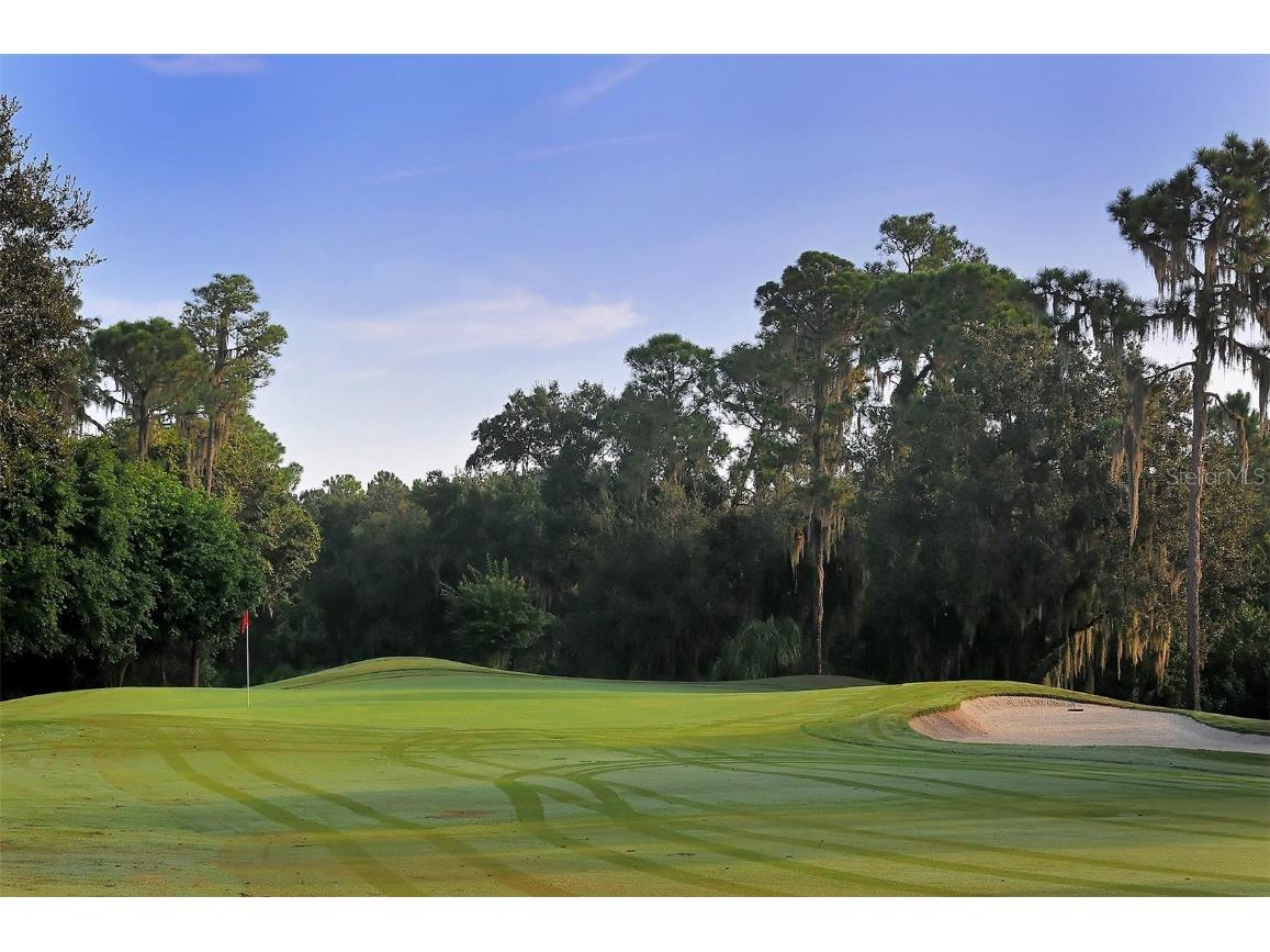 10612 Glencorse Terrace Bradenton FL 34211 A4663031 image53