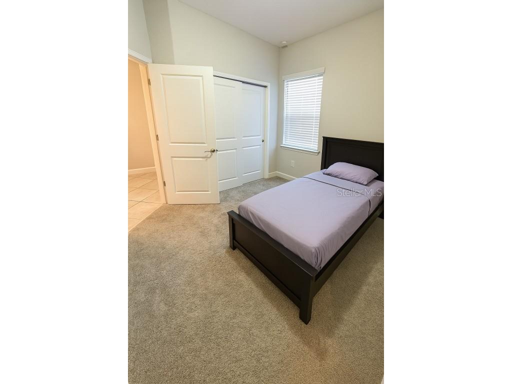 10612 Great Cormorant Drive Riverview FL 33579 TB8409499 image15