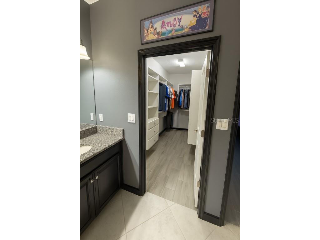 10612 Great Cormorant Drive Riverview FL 33579 TB8409499 image21