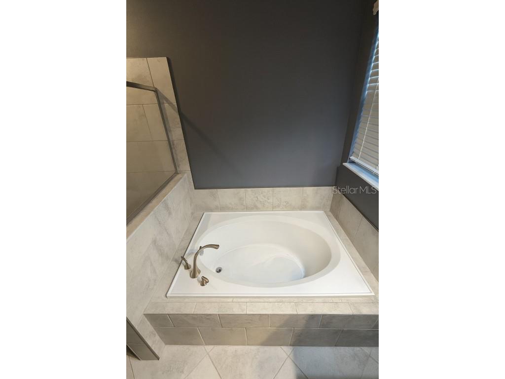 10612 Great Cormorant Drive Riverview FL 33579 TB8409499 image24