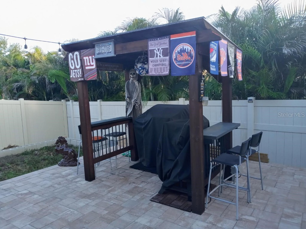 10612 Great Cormorant Drive Riverview FL 33579 TB8409499 image25