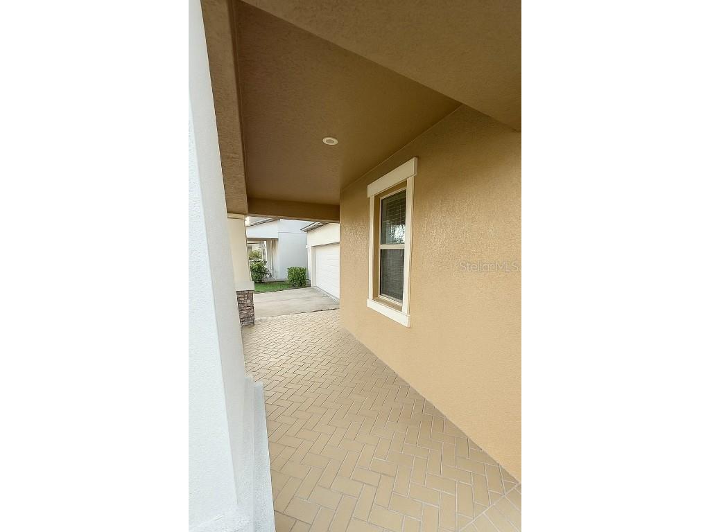 10612 Great Cormorant Drive Riverview FL 33579 TB8409499 image9