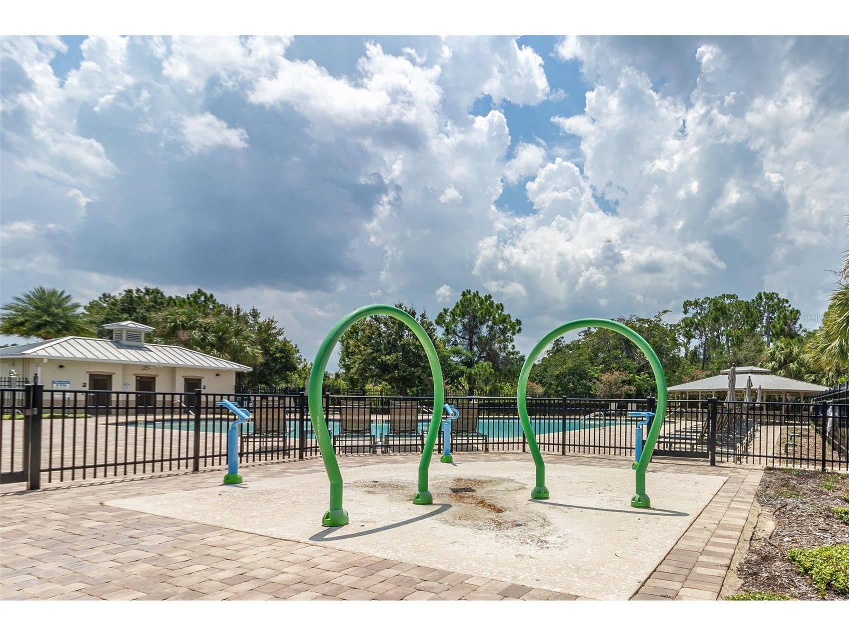 10612 Reams Road Windermere FL 34786 O6408707 image40