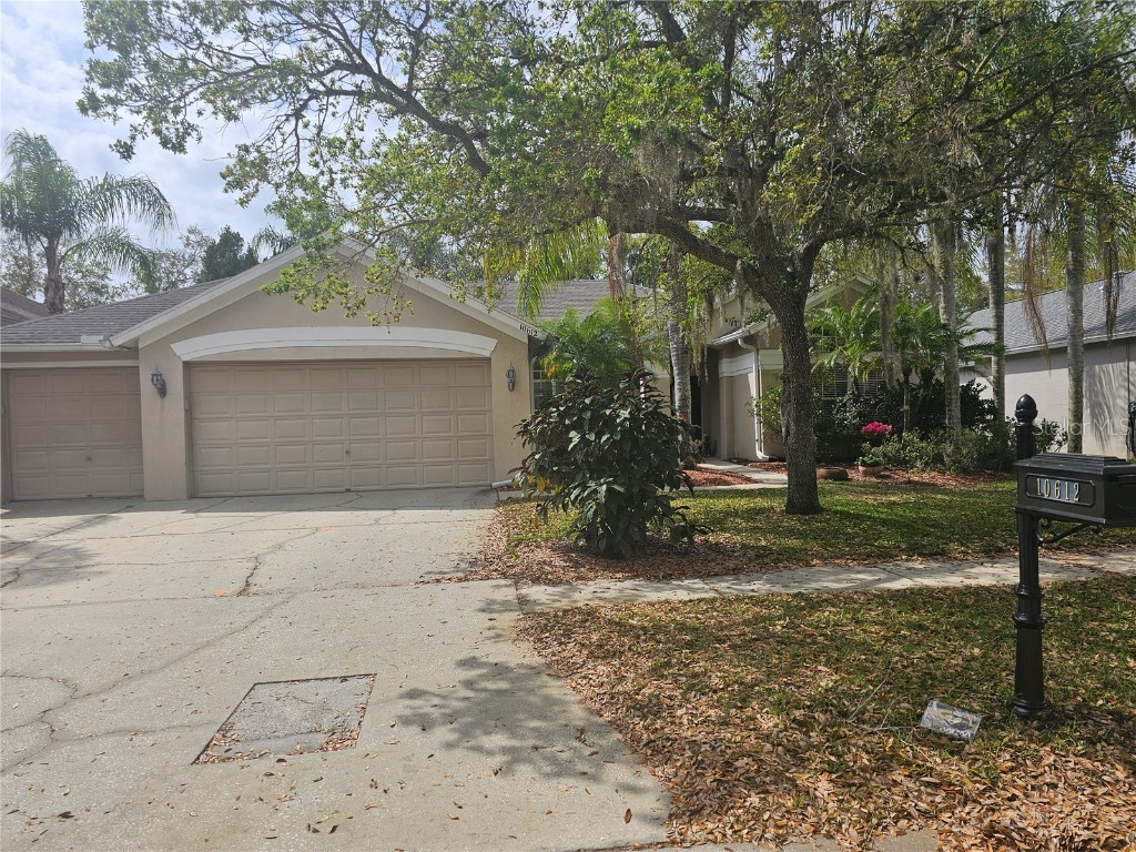 10612 Rochester Way Tampa FL 33626 U8237343 image1