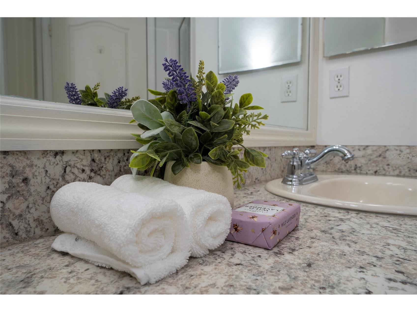 10612 Savannah Wood Drive #86 Orlando FL 32832 O6420650 image28