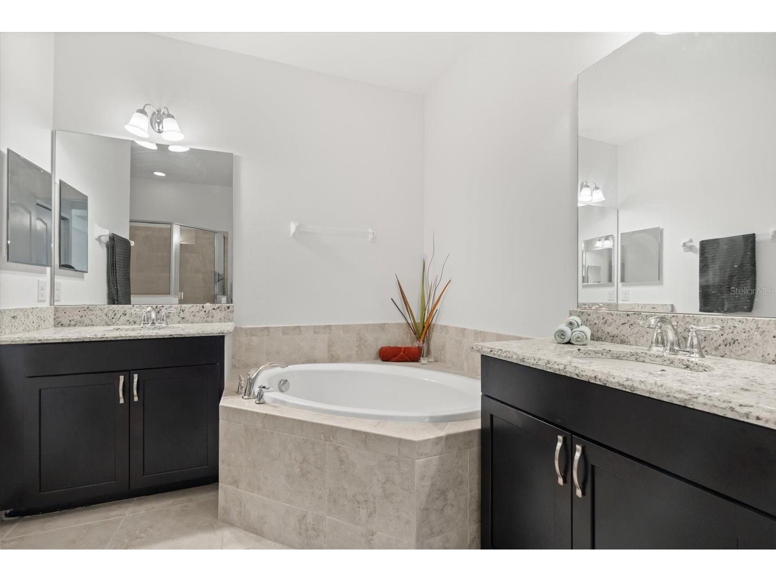 10613 Belfry Circle Orlando FL 32832 O6376559 image24
