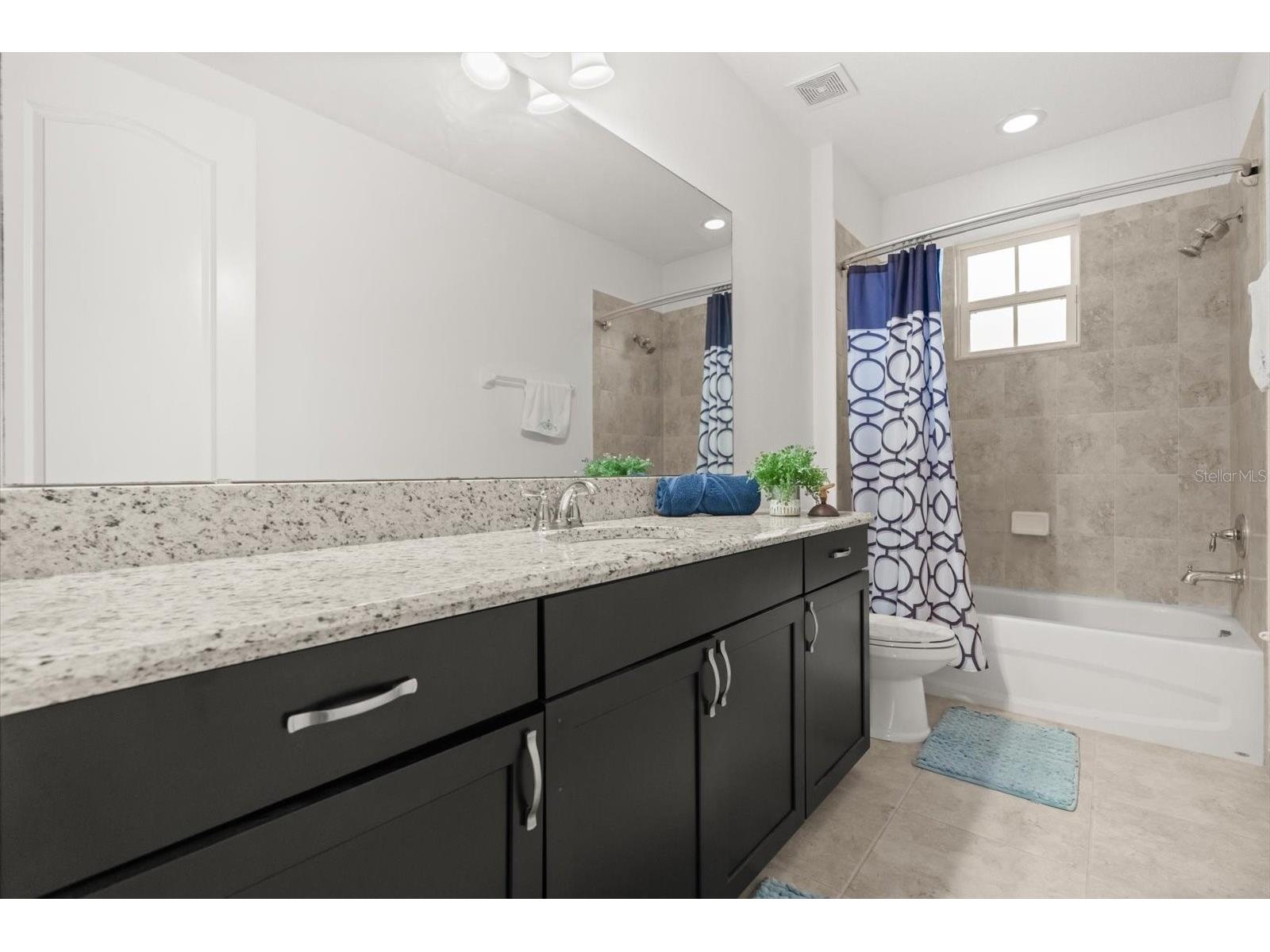 10613 Belfry Circle Orlando FL 32832 O6376559 image33