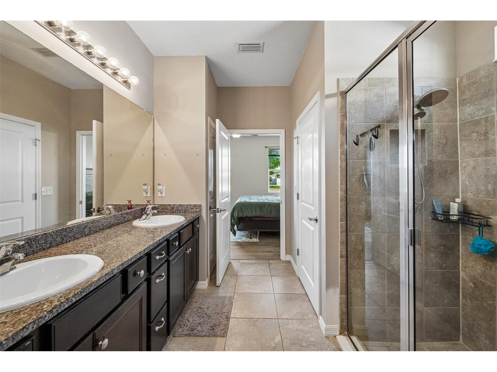 10613 Scenic Hollow Drive Riverview FL 33578 TB8503633 image20