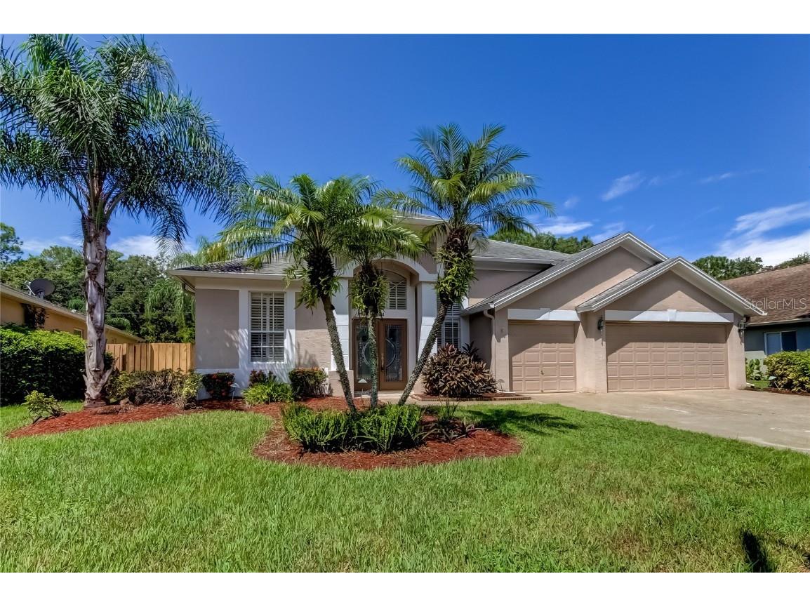 10614 Chambers Drive Tampa FL 33626 T3471546 image1