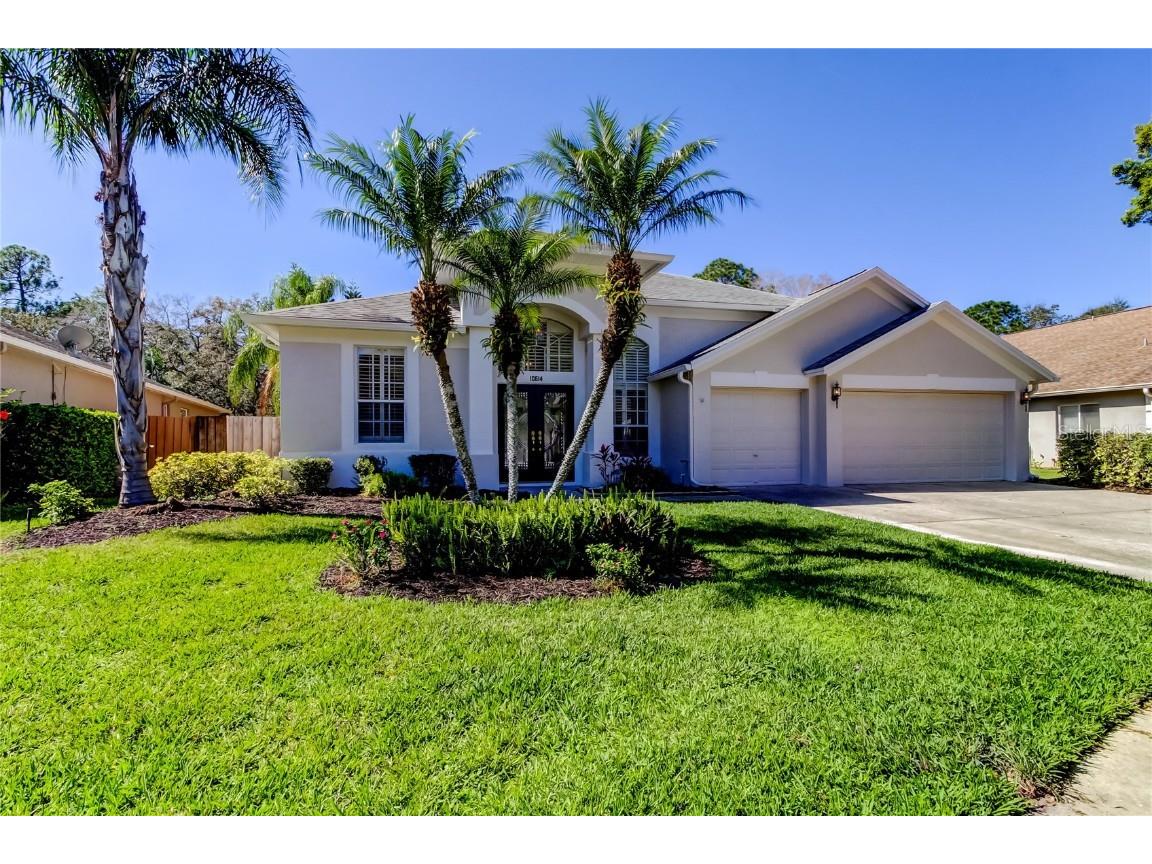 10614 Chambers Drive Tampa FL 33626 TB8351540 image1