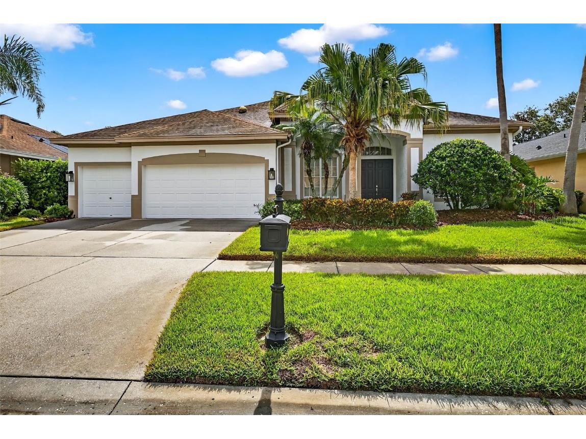 10614 Gretna Green Drive Tampa FL 33626 TB8402913 image1