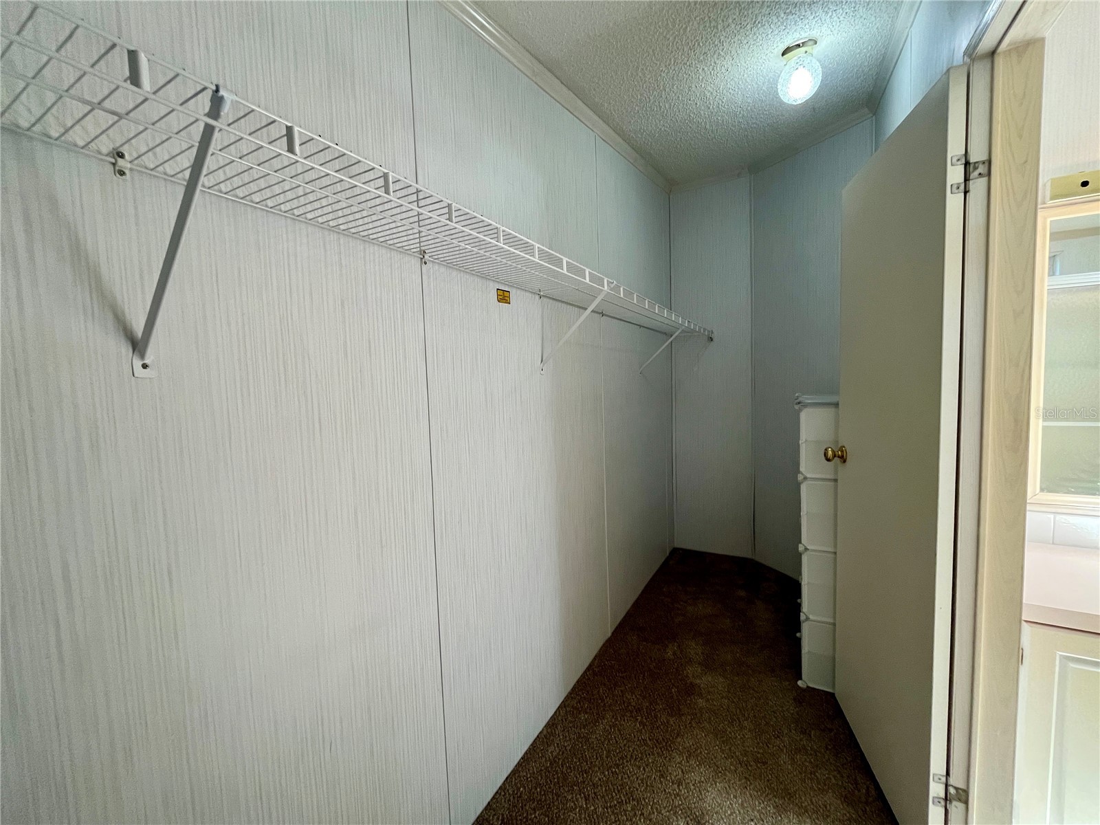 10614 Hayden Avenue New Port Richey FL 34655 TB8493465 image13