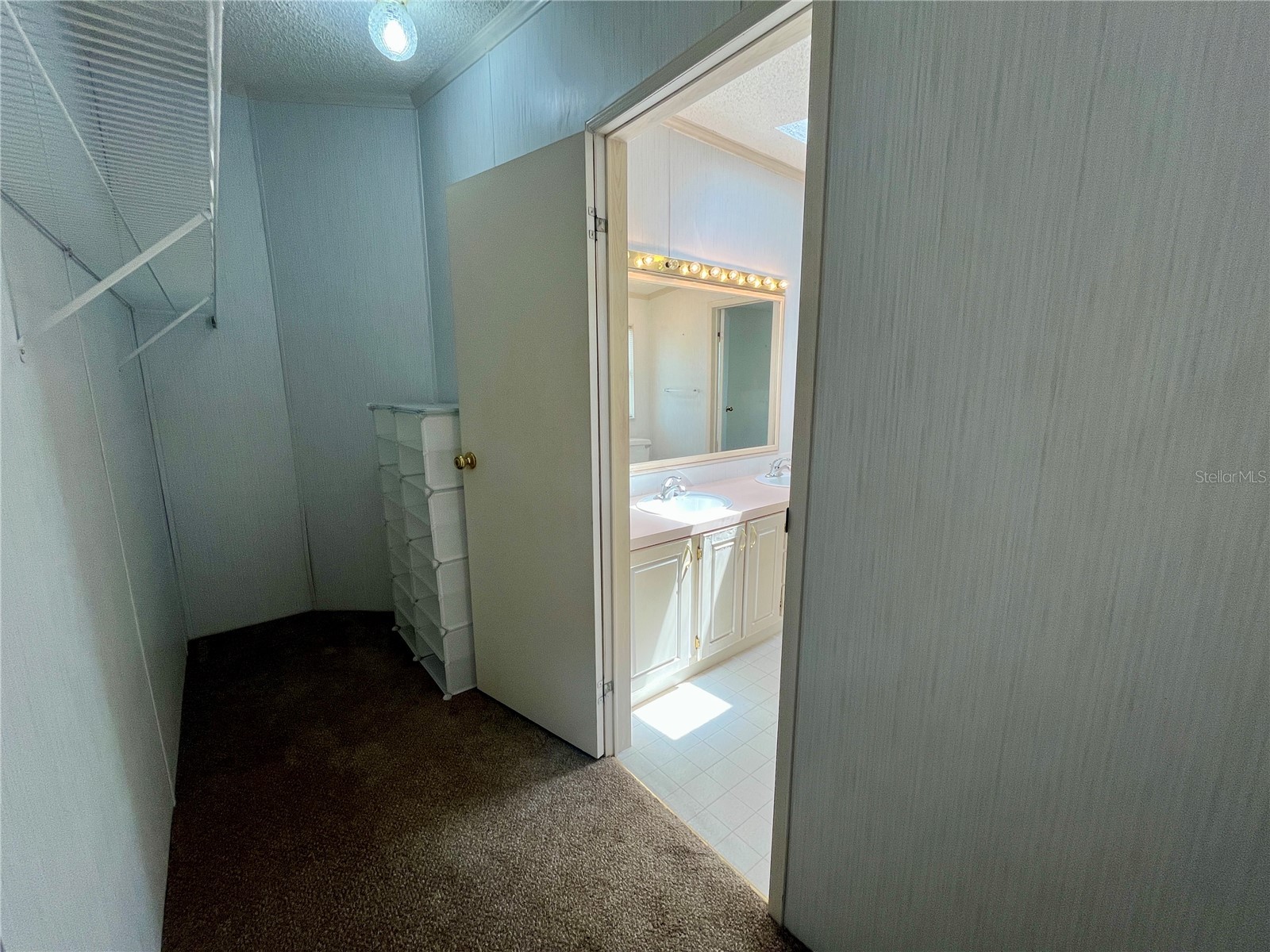 10614 Hayden Avenue New Port Richey FL 34655 TB8493465 image14
