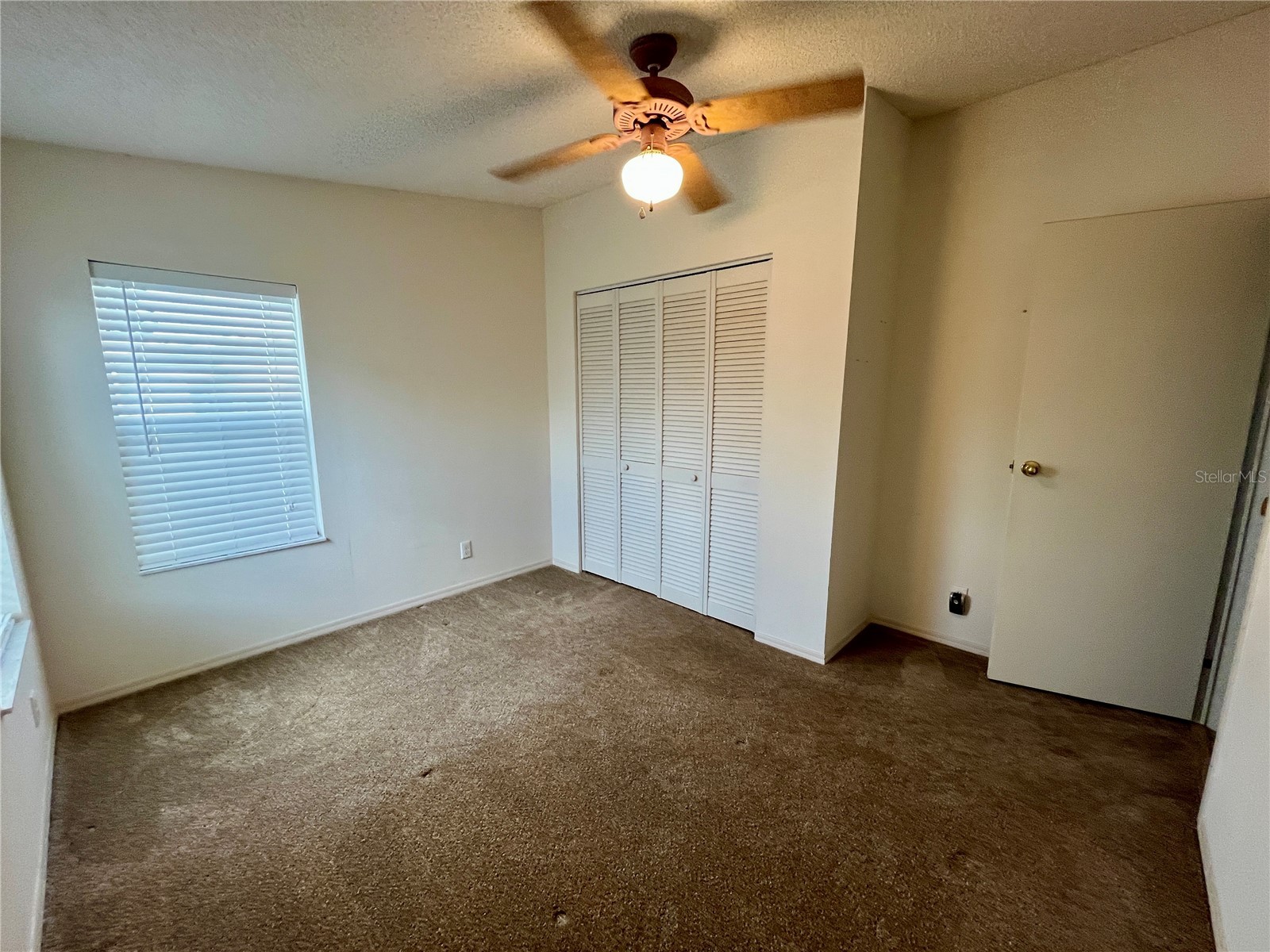 10614 Hayden Avenue New Port Richey FL 34655 TB8493465 image18