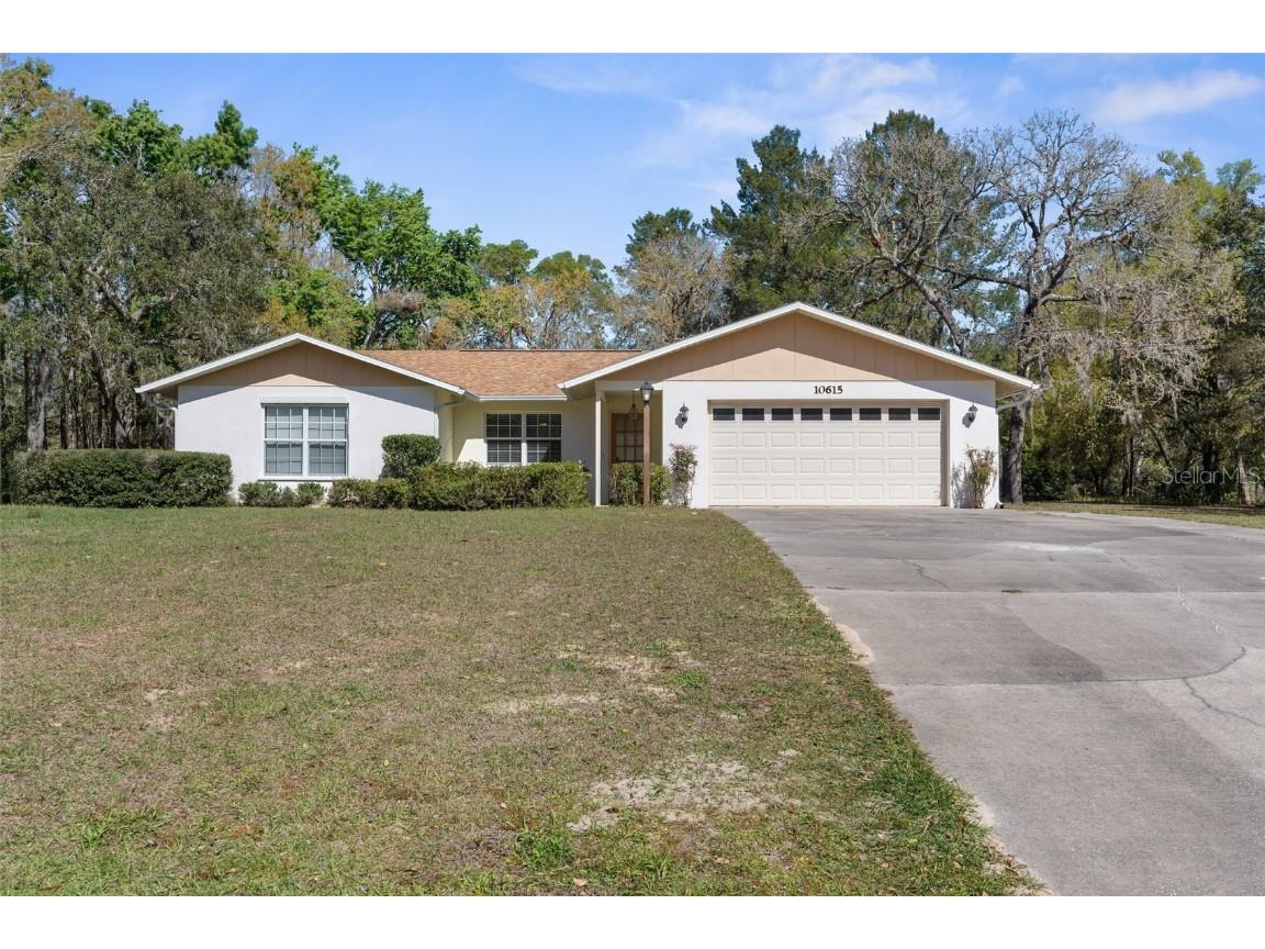 10615 Casey Drive New Port Richey FL 34654 W7873070 image1