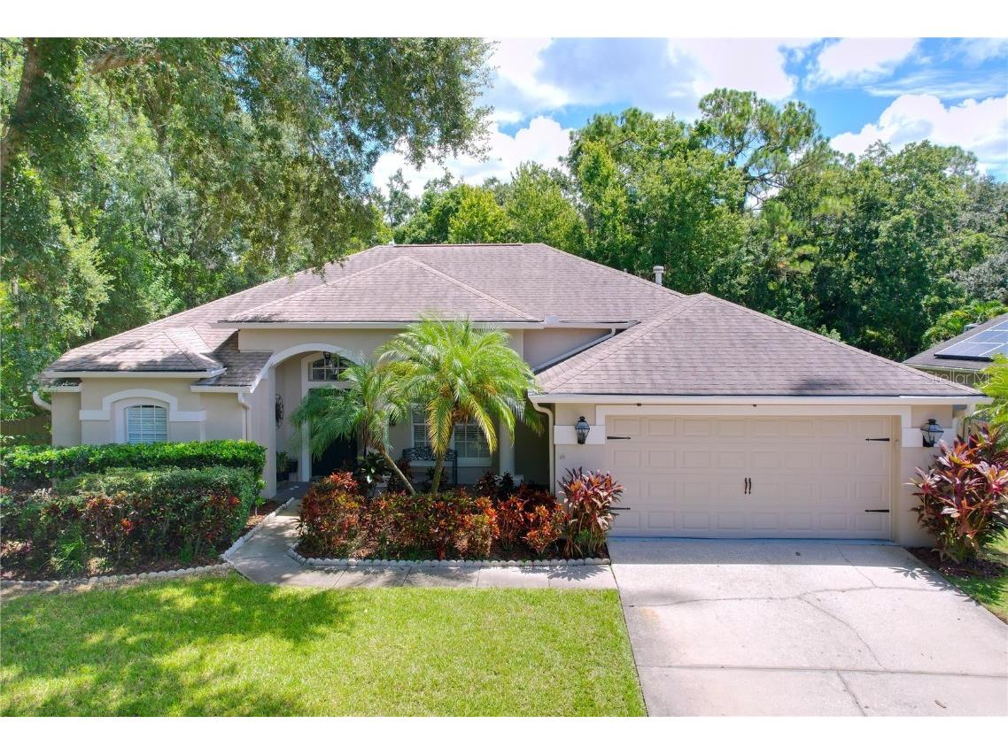 10615 Chambers Drive Tampa FL 33626 TB8421613 image1