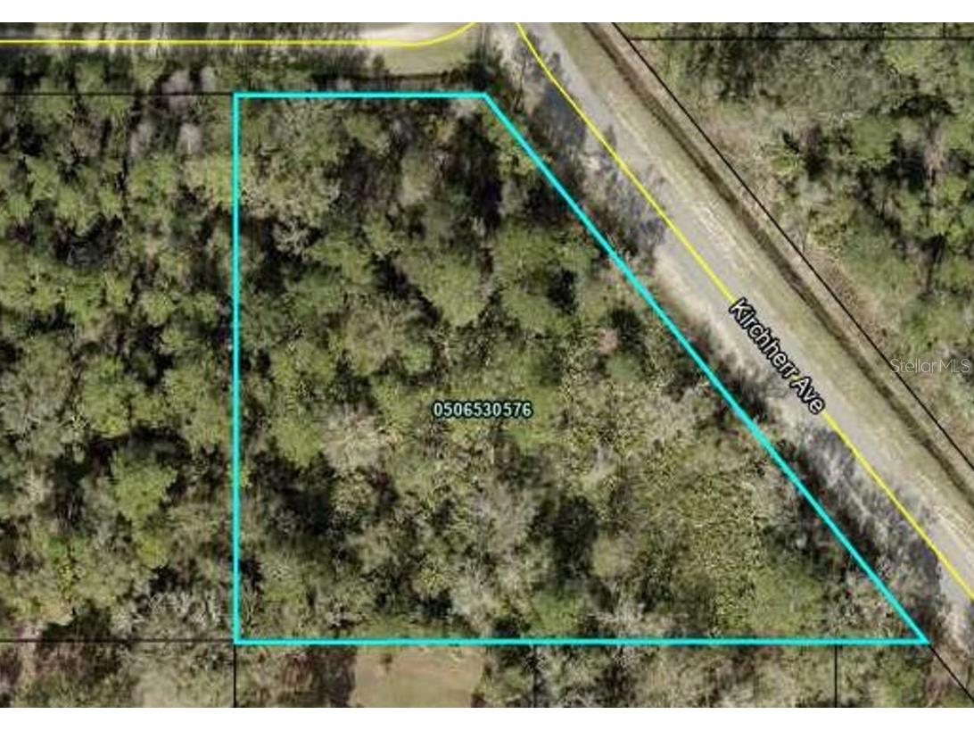 10615 Kirchherr Avenue Hastings FL 32145 OK223757 image1