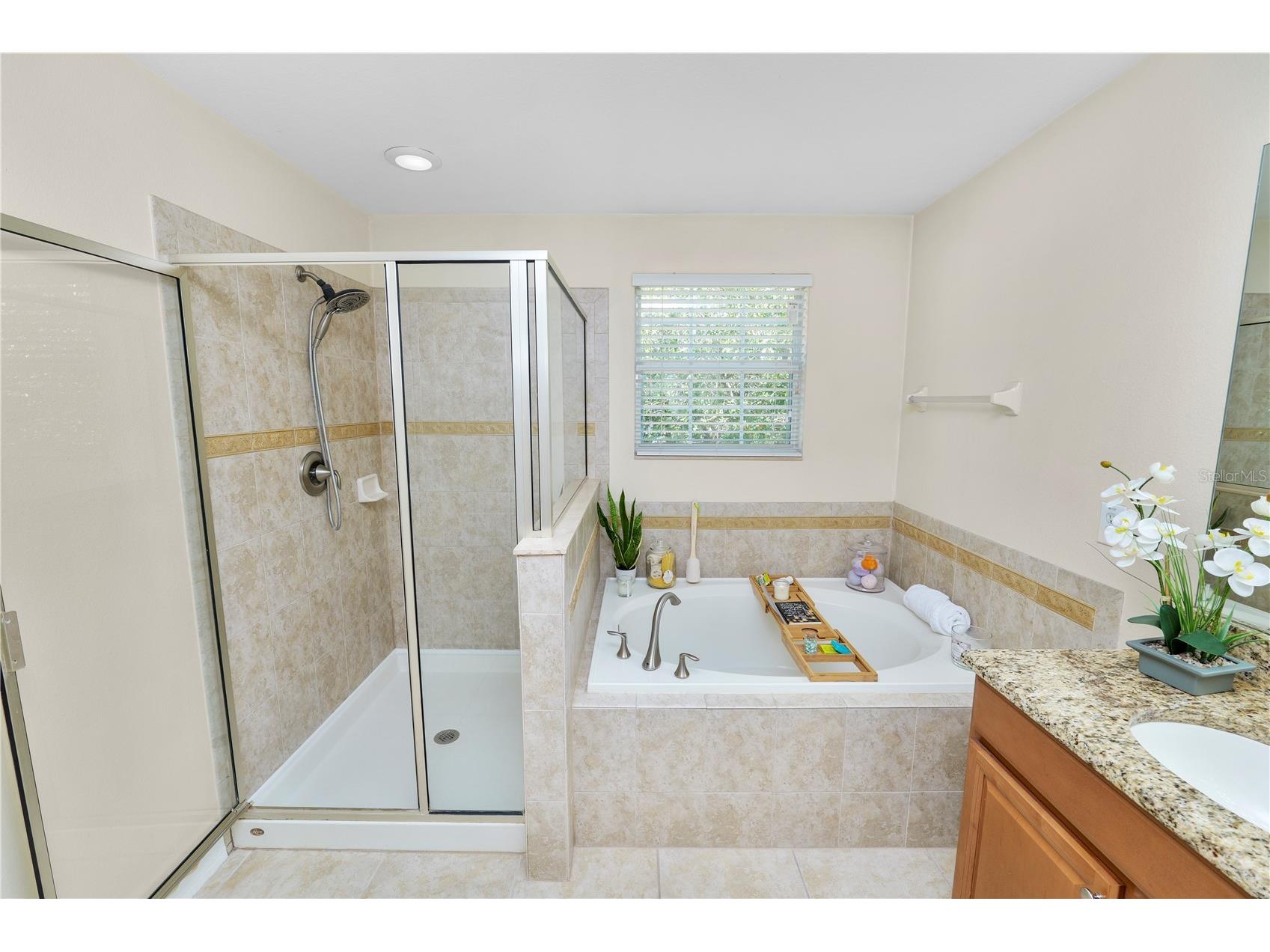 10615 Lucaya Drive Tampa FL 33647 TB8468120 image26